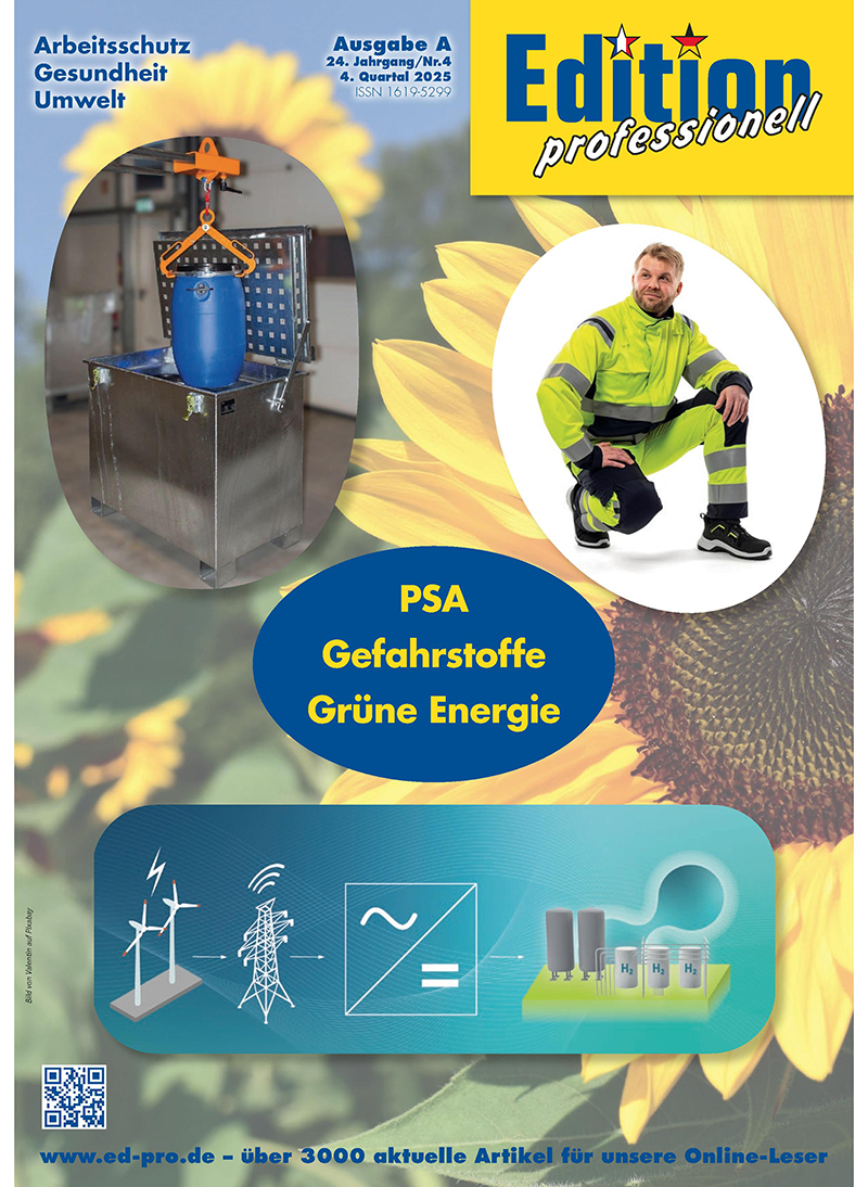 Edition professionell